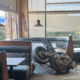 Motorcycle Crashes Into Black Bear Diner in Drape
