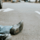 How Long Does It Take To Settle A Pedestrian Accident​?